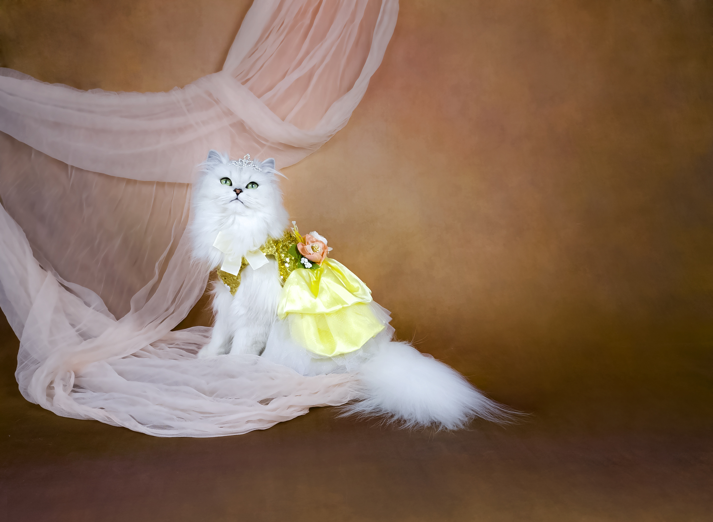 Pearl-Bijou