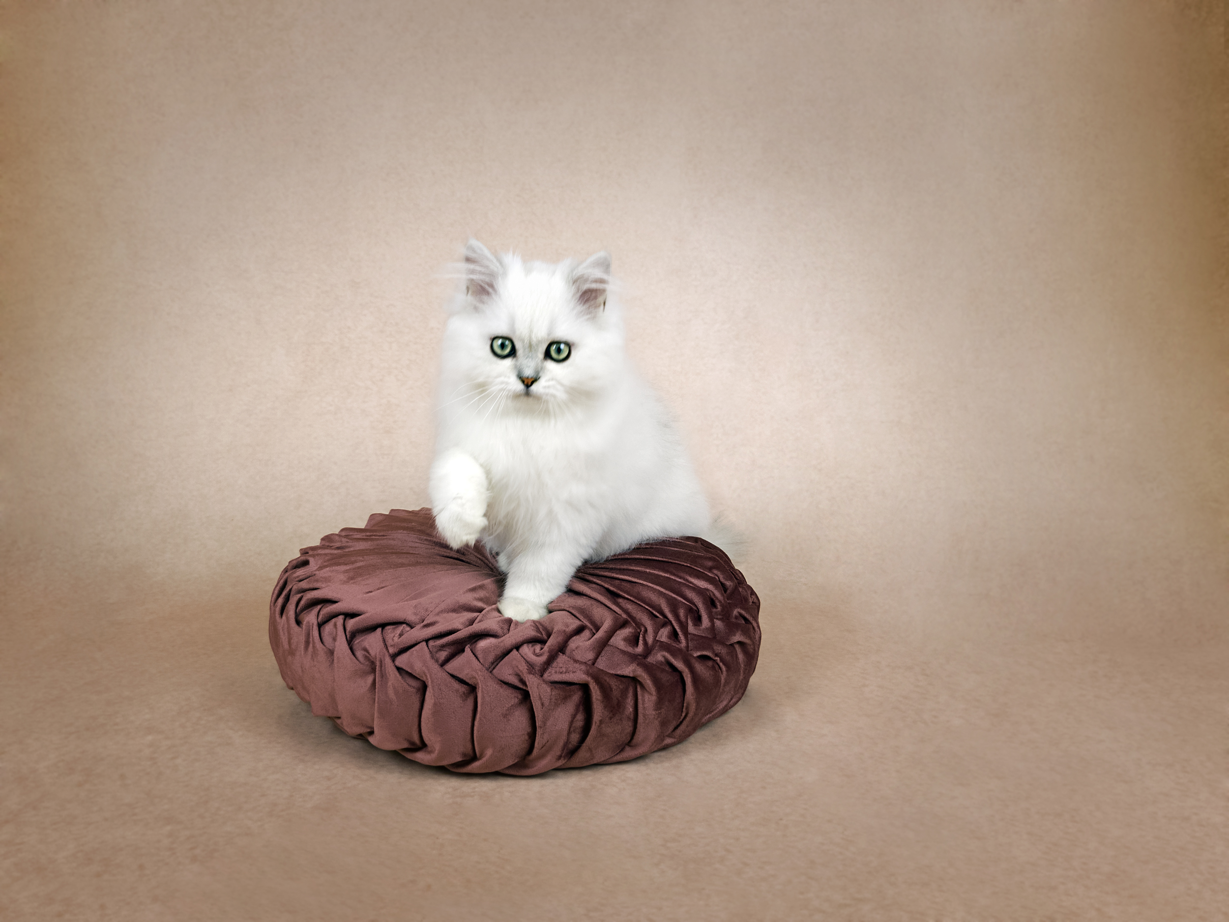 Traditional Persian